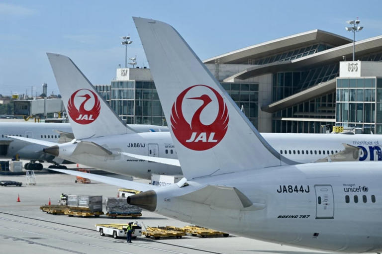 Some Japan Airlines Flights Delayed After Cyberattack