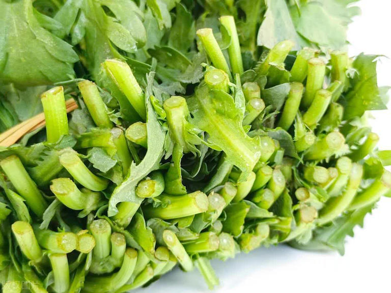 冬天，这4种蔬菜，菜农从不会打农药，很多都自吃