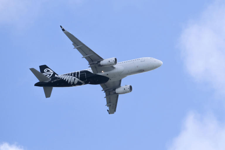 air-nz-flight-abandons-take-off-in-christchurch-after-bird-strike