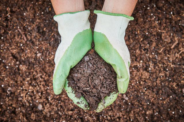 The Spruce / Jason Donnelly