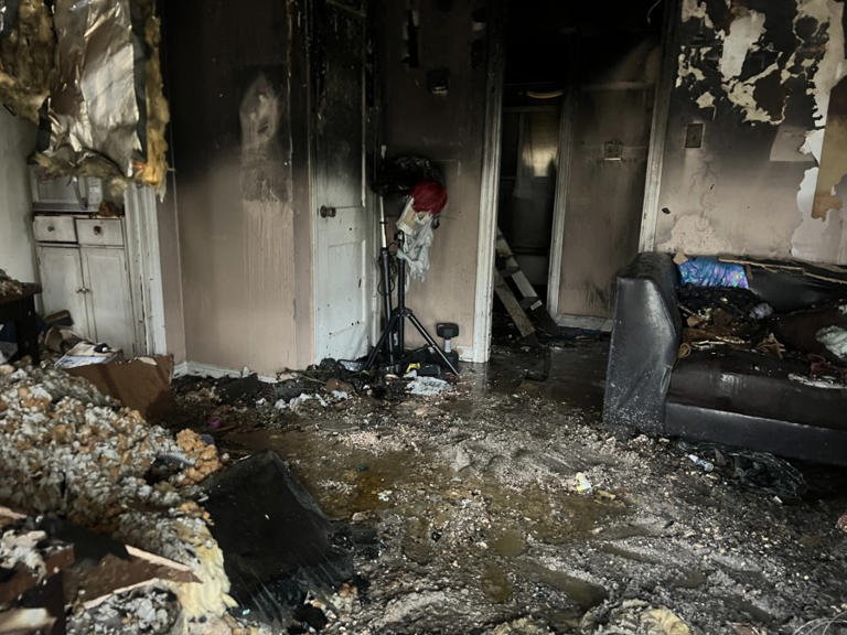 Arson blamed for Whitehaven house fire that killed dogs, birds