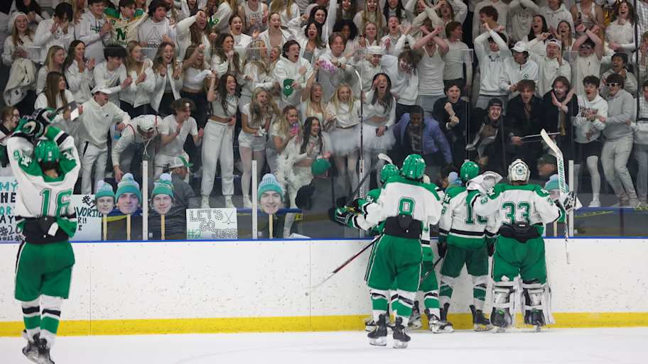 Minnesota high school boys hockey 2026 section tournament brackets ...