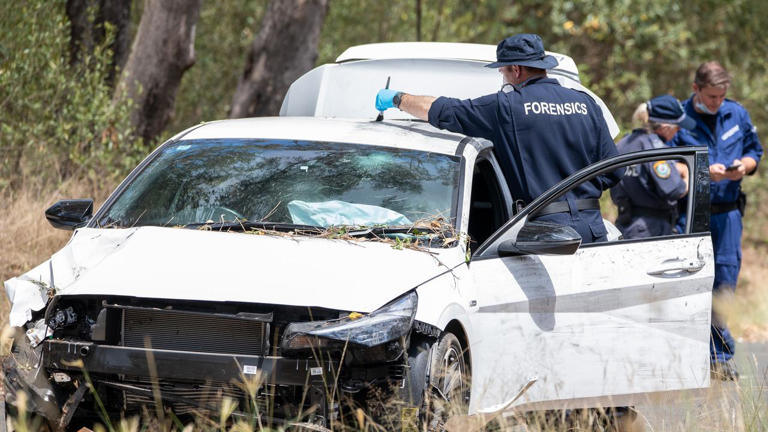 Grenade claim after wild police chase