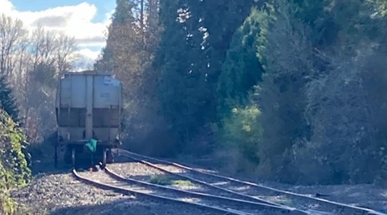 Derailed freight train remains in Marys River in Corvallis