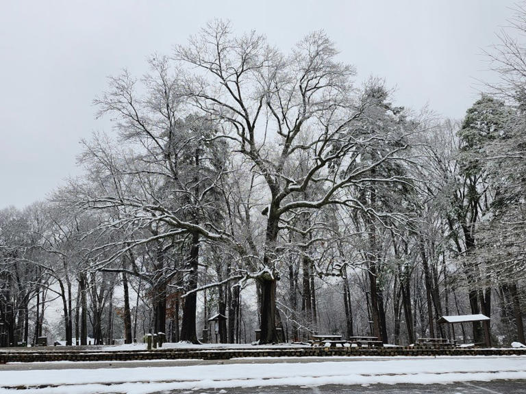 list-which-government-offices-in-central-virginia-are-closed-on-tuesday
