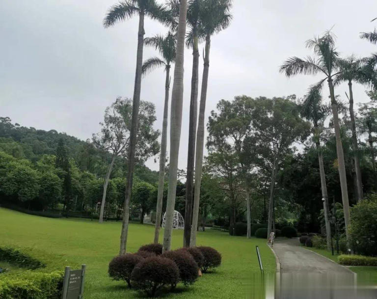 广州一园中园走红，有广州版“黄鹤楼”，还藏着一个“大草原”！