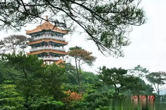 广州一园中园走红，有广州版“黄鹤楼”，还藏着一个“大草原”！