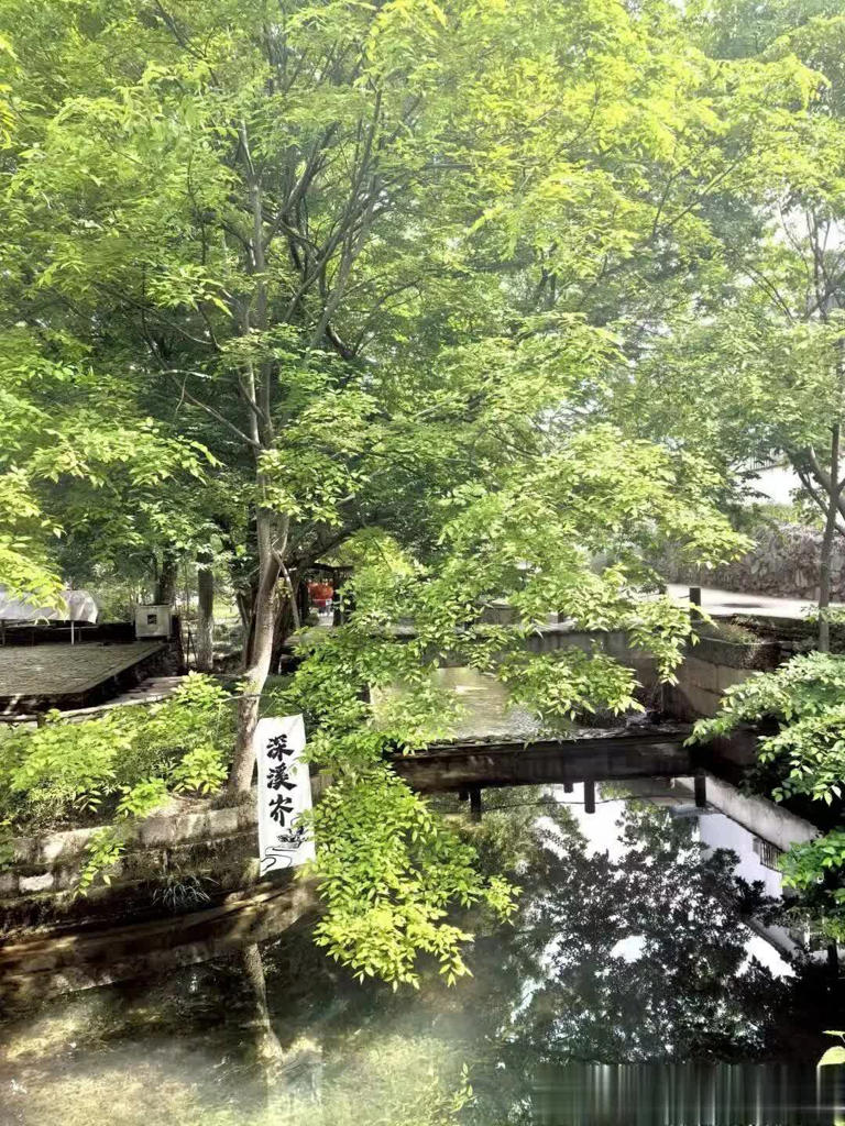 高铁23分钟直达！山水不输苏杭，江南最宜居的小城，冷门0攻略