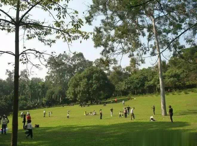 广州一园中园走红，有广州版“黄鹤楼”，还藏着一个“大草原”！