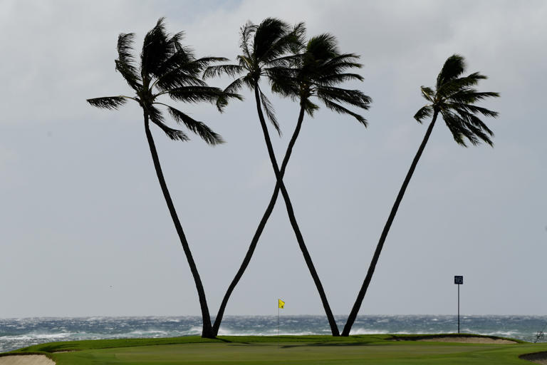 Sony Open In Hawaii 2025 Picks, Predictions And Odds