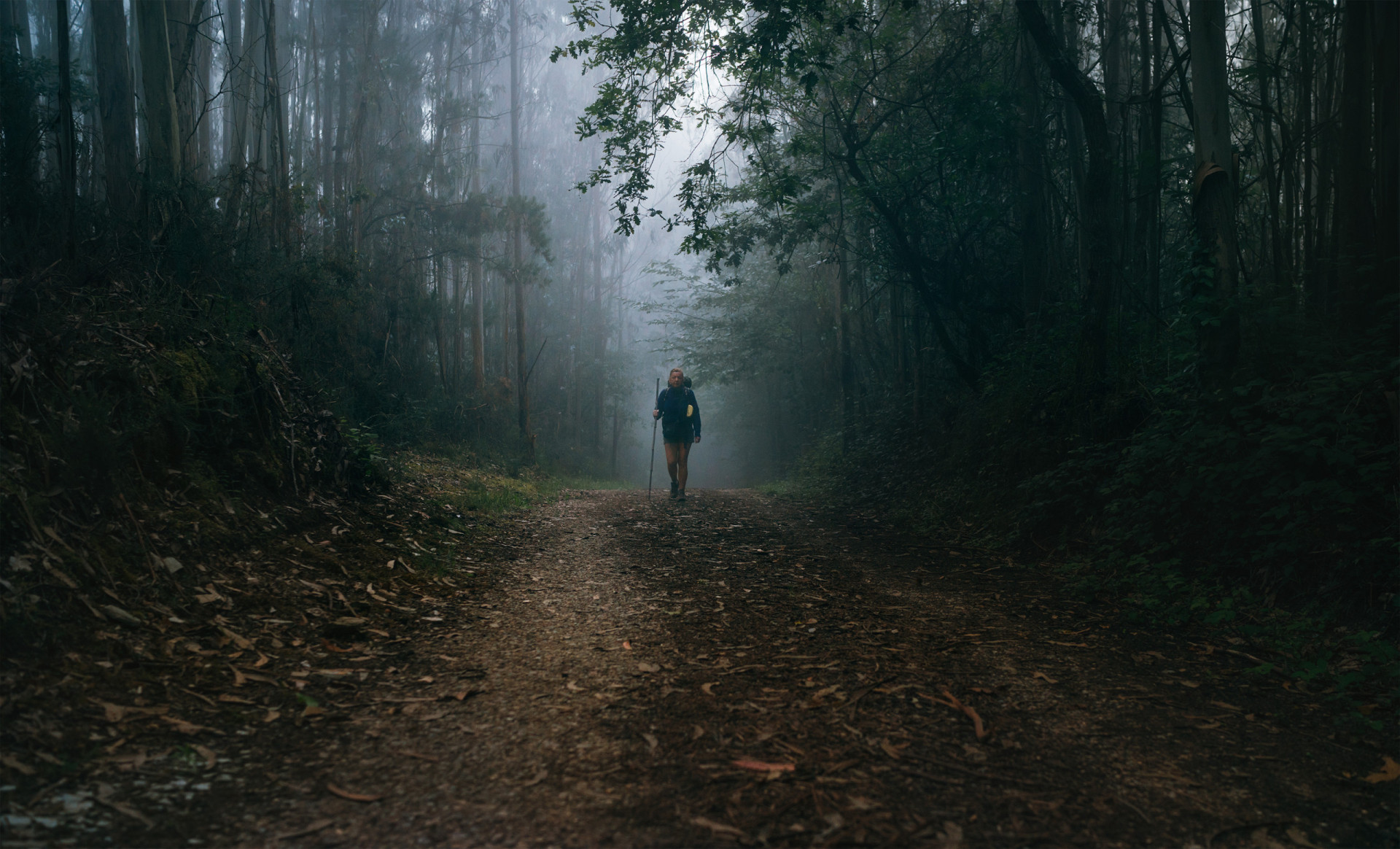 ways-to-disappear-and-live-off-grid
