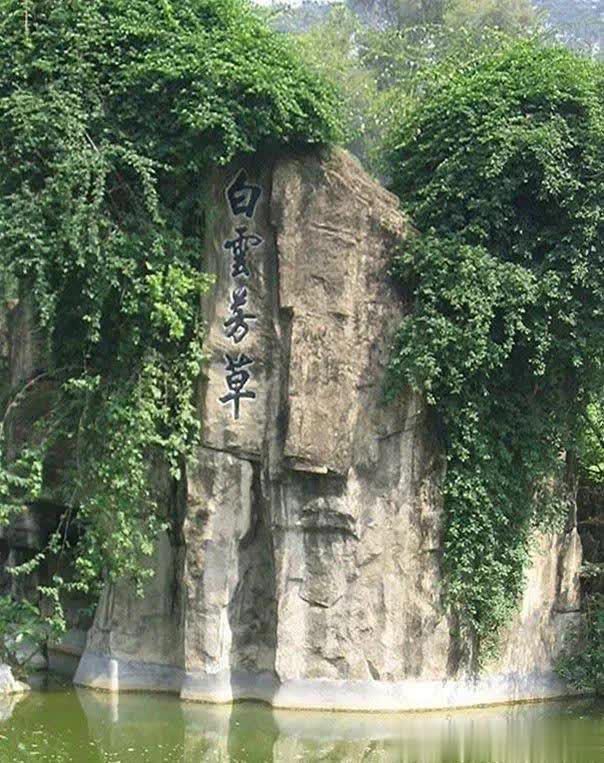 广州一园中园走红，有广州版“黄鹤楼”，还藏着一个“大草原”！