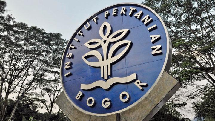 Dosen IPB Jelaskan Praktik Daging Gelonggongan dan Karakteristiknya