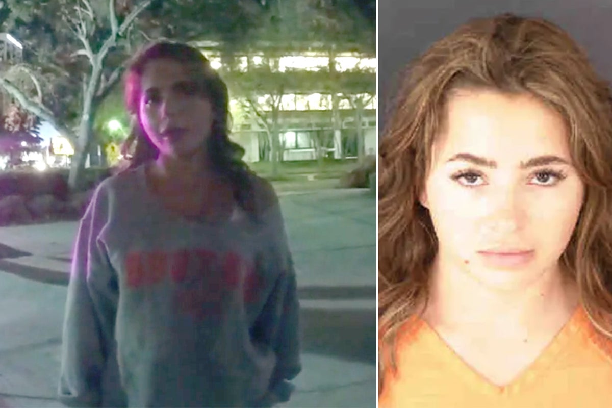 Hooters waitress flirts shamelessly with cop who pulled her over for