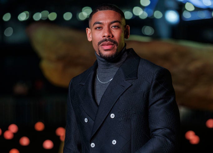 Aaron Pierre — Mufasa: The Lion King (Walt Disney Studios Motion Pictures)Anika Noni Rose — Mufasa: The Lion King (Walt Disney Studios Motion Pictures)Ayo Edebiri — Inside Out 2 (Walt Disney Studios Motion Pictures)Blue Ivy Carter — Mufasa: The Lion King (Walt Disney Studios Motion Pictures)Lupita Nyong’o — The Wild Robot (DreamWorks Animation) Mike Marsland / Mike Marsland / WireImage