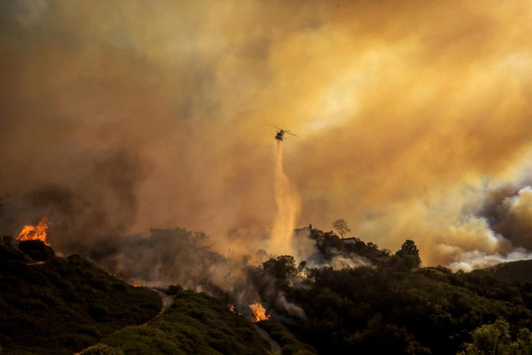 Palisades Fire in Los Angeles scorches 1,262 acres, destroys homes