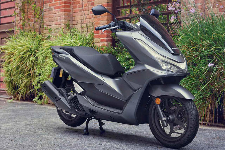 pcx125 (HONDA ,PCX125, 14-17 (785 MM HIGH)) pcx125 (HONDA ,PCX125, 14-17 (785 MM HIGH))