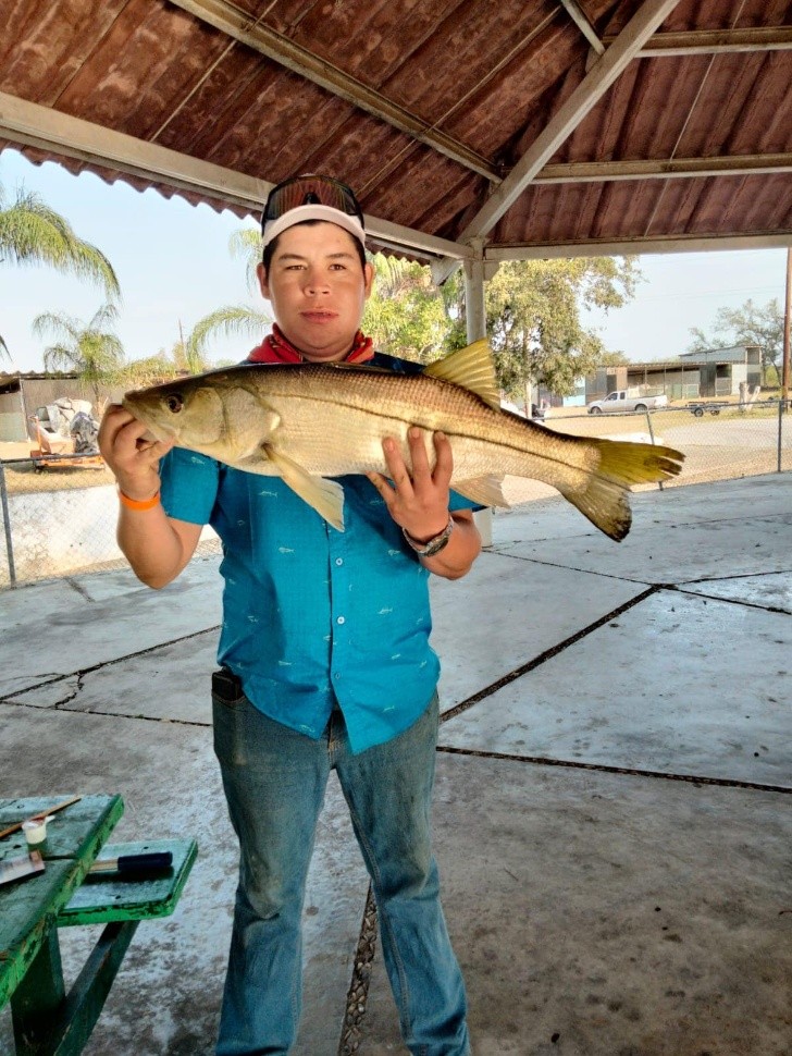 Robalo: El desafío que todo pescador quiere conquistar. Foto Archivo