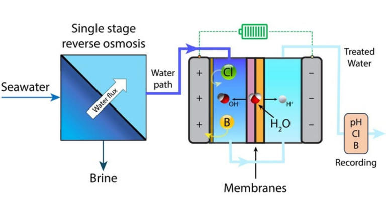 The diagram illustrates how the researchers’ electrodes remove boron. Initially, most salt ions are removed through reverse osmosis.