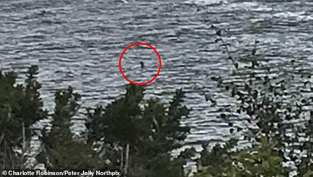 Loch Ness Monster mystery may finally be SOLVED