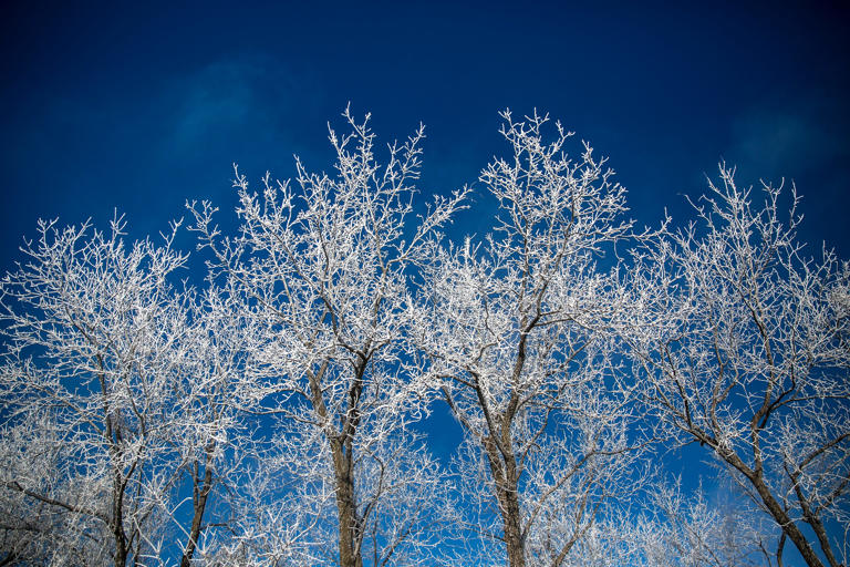extreme-cold-why-is-my-house-cracking-and-popping-in-freezing-weather