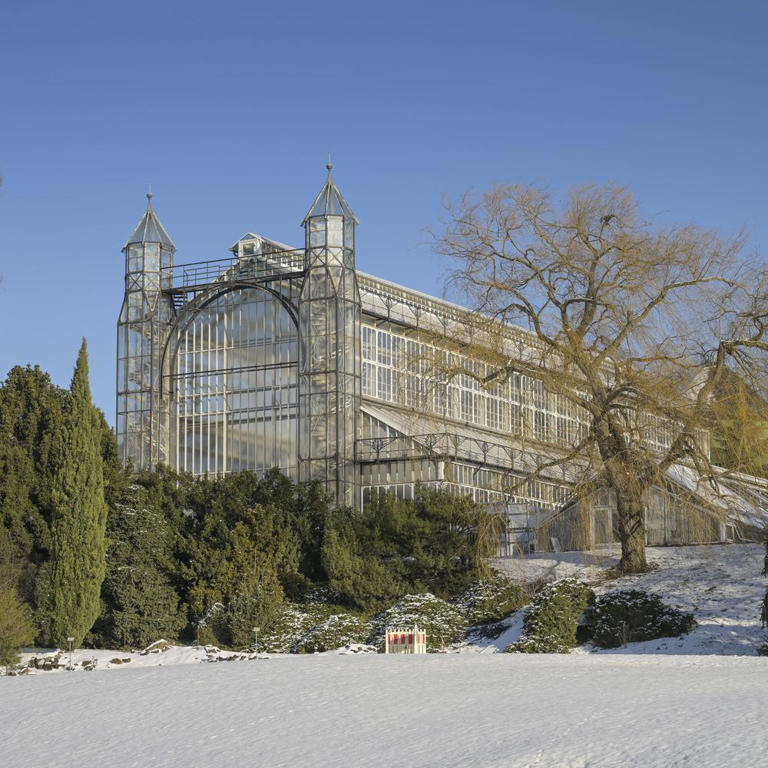 60+ Mittelmeerhaus Im Botanischen Garten, Das mittelmeerhaus, eines