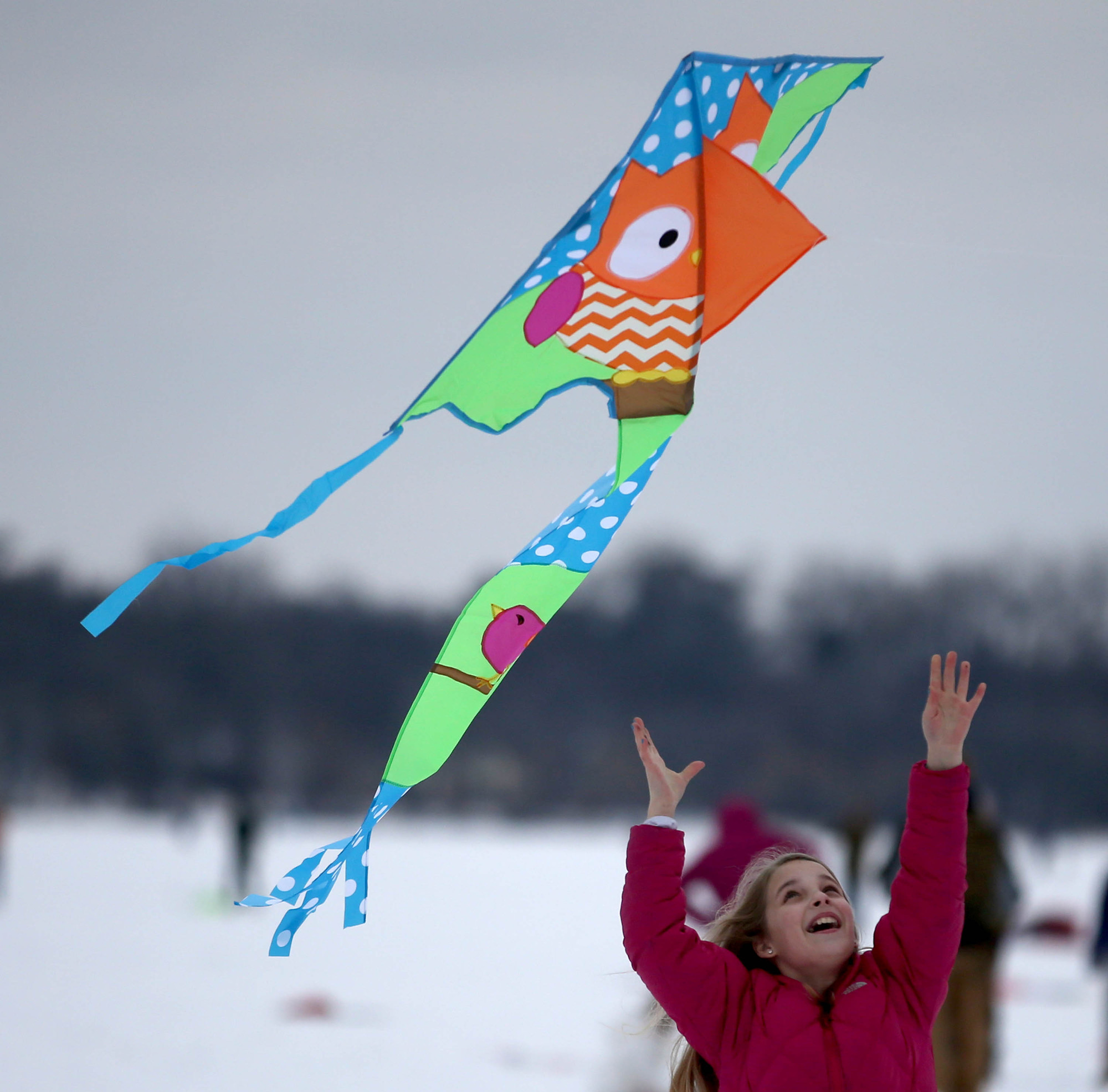 Lake Harriet Winter Kite Festival