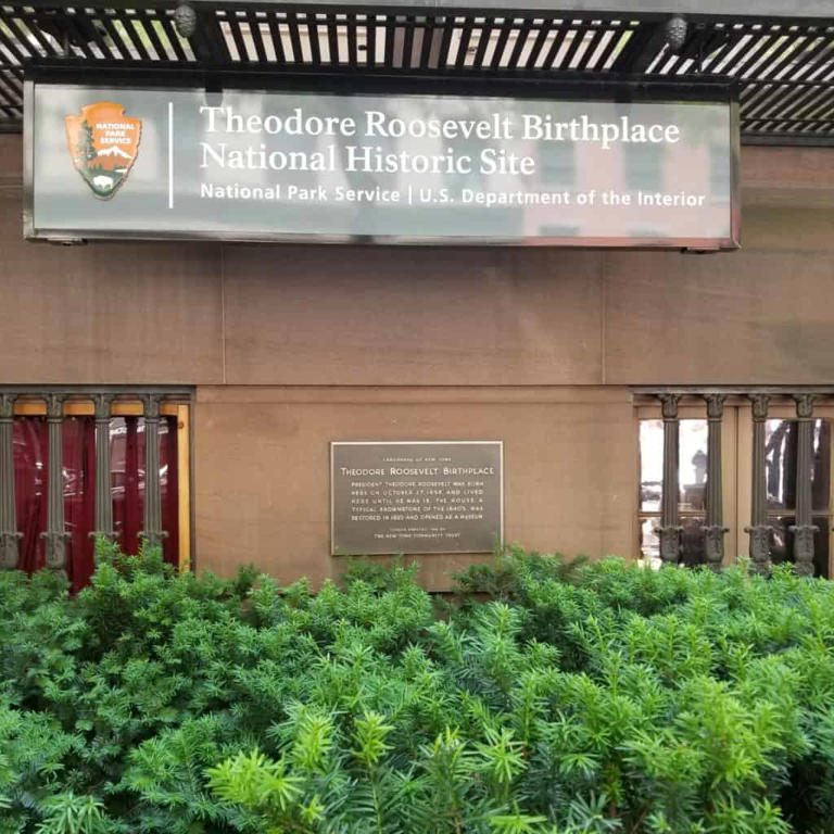 Theodore Roosevelt Birthplace National Historic Site photo 1