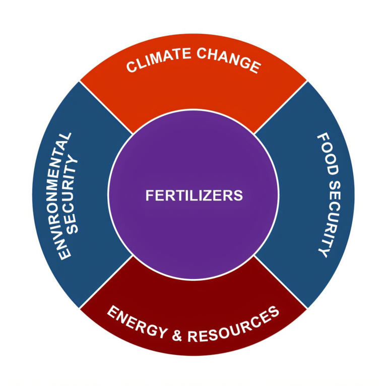 Fertilizers and their interactions with climate change, food security, environmental security, energy and resources. Fertilizers have an impact on climate change, food security and environmental security, while energy and resources have an impact on fertilizers; climate change in turn has an impact on environmental security and food security. Credit: One Earth (2025). DOI: 10.1016/j.oneear.2024.12.009
