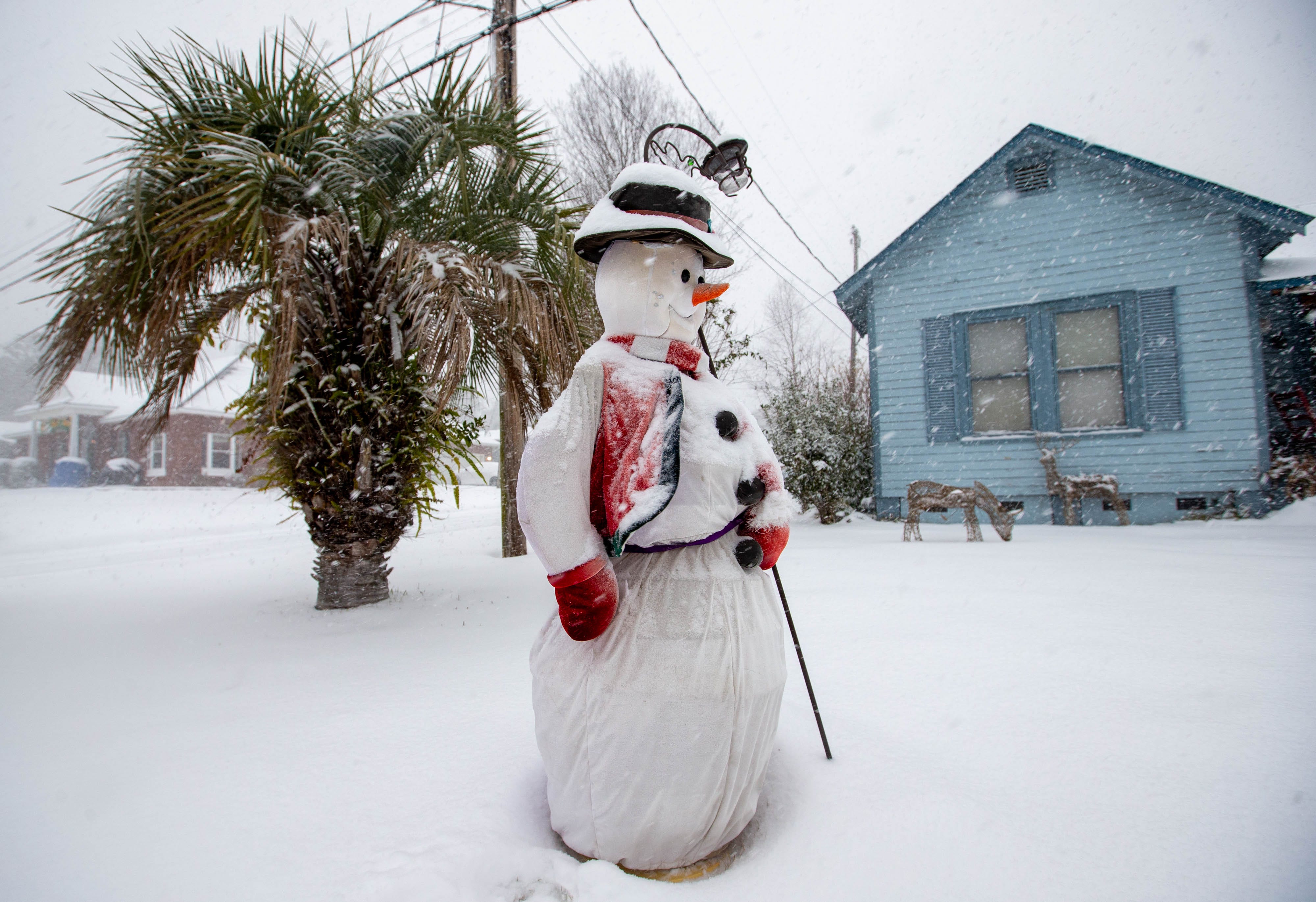 Remember when it snowed in Florida? It wasn't that long ago. See videos ...