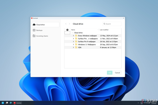 Screenshot of the Mega client for Windows showing files available in cloud storage