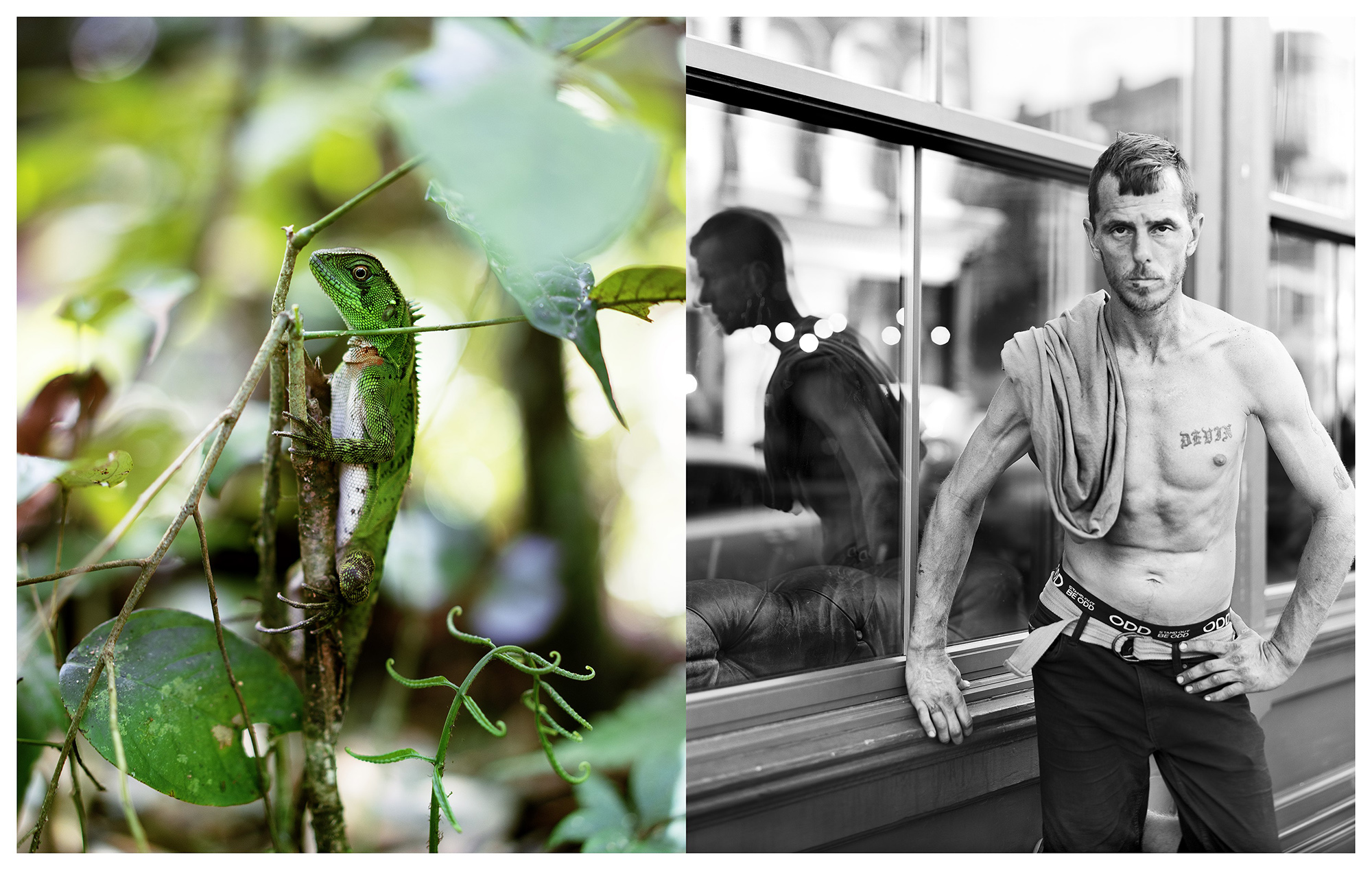 ��չ�����ٴ���Ӱ�����ˡ�����չ����������������������Ⱥ