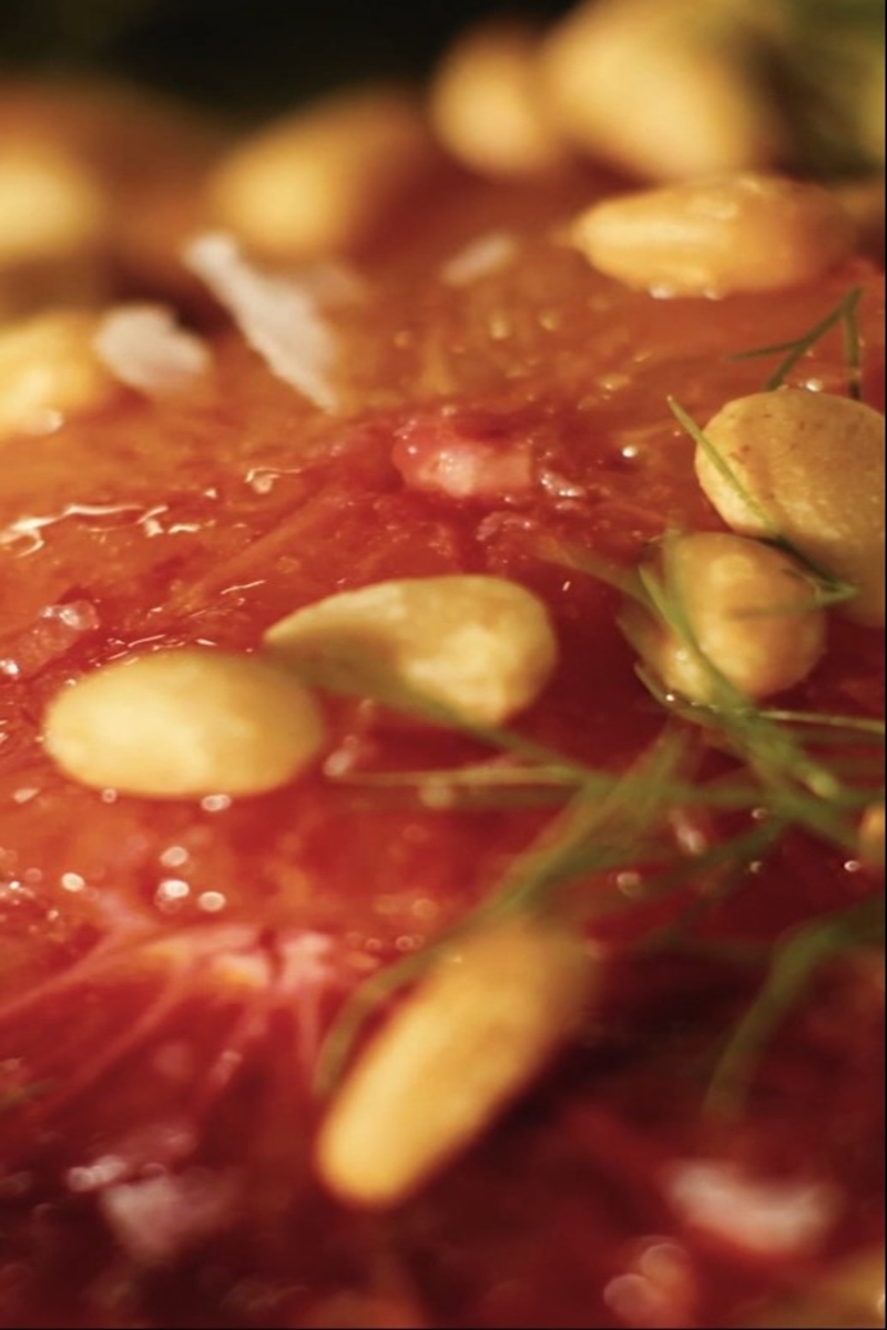 Salat aus Fenchel und Blutorangen, eine frische, festliche Beilage