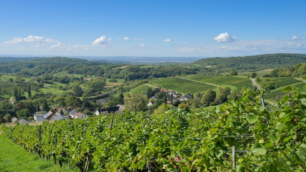  Die Termine für die Schulferien 2025 und 2026 in Baden-Württemberg Motiv 