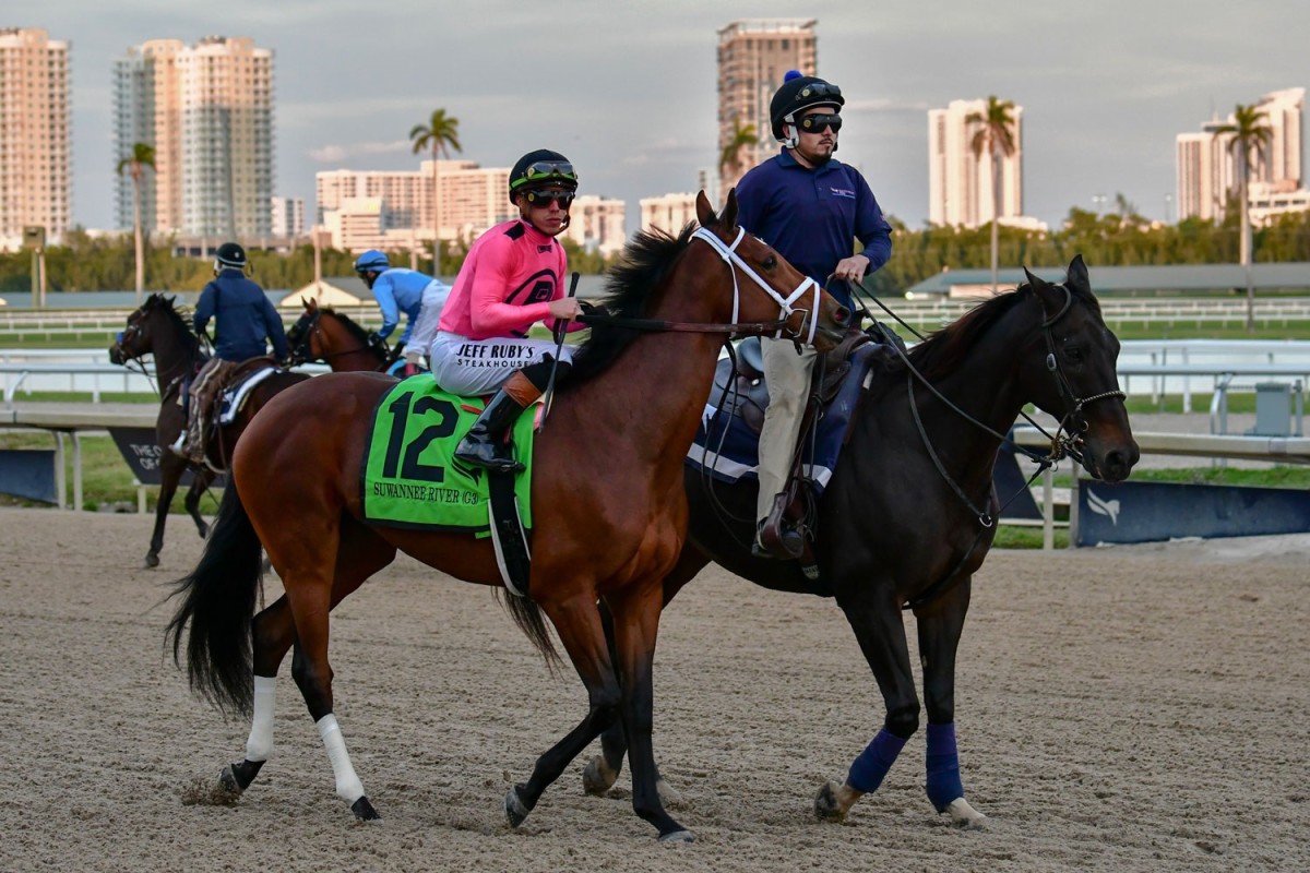 Brendan Walsh Enters Trio For Rood & Riddle Dowager