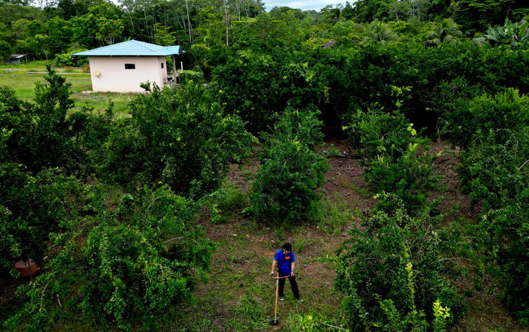 The Chapare region in Bolivia