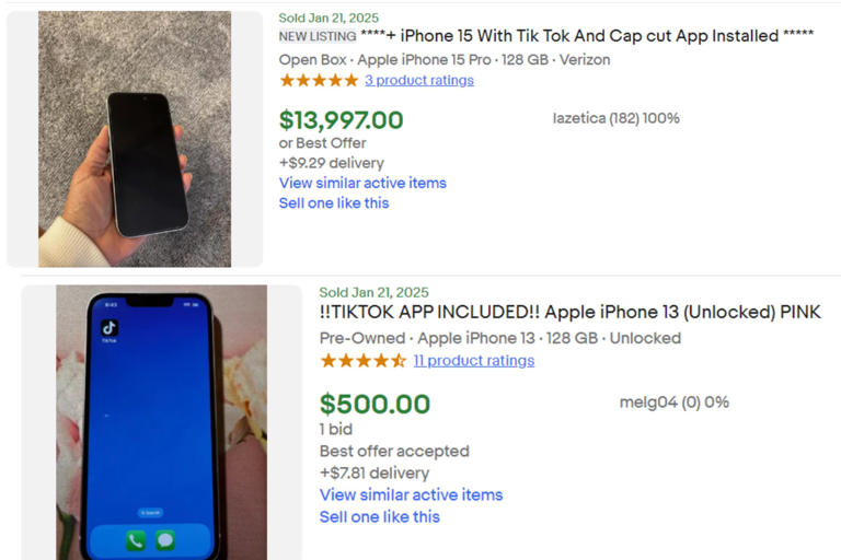 iPhone With TikTok App for 14K Sells on eBay Amid App Store Blackout