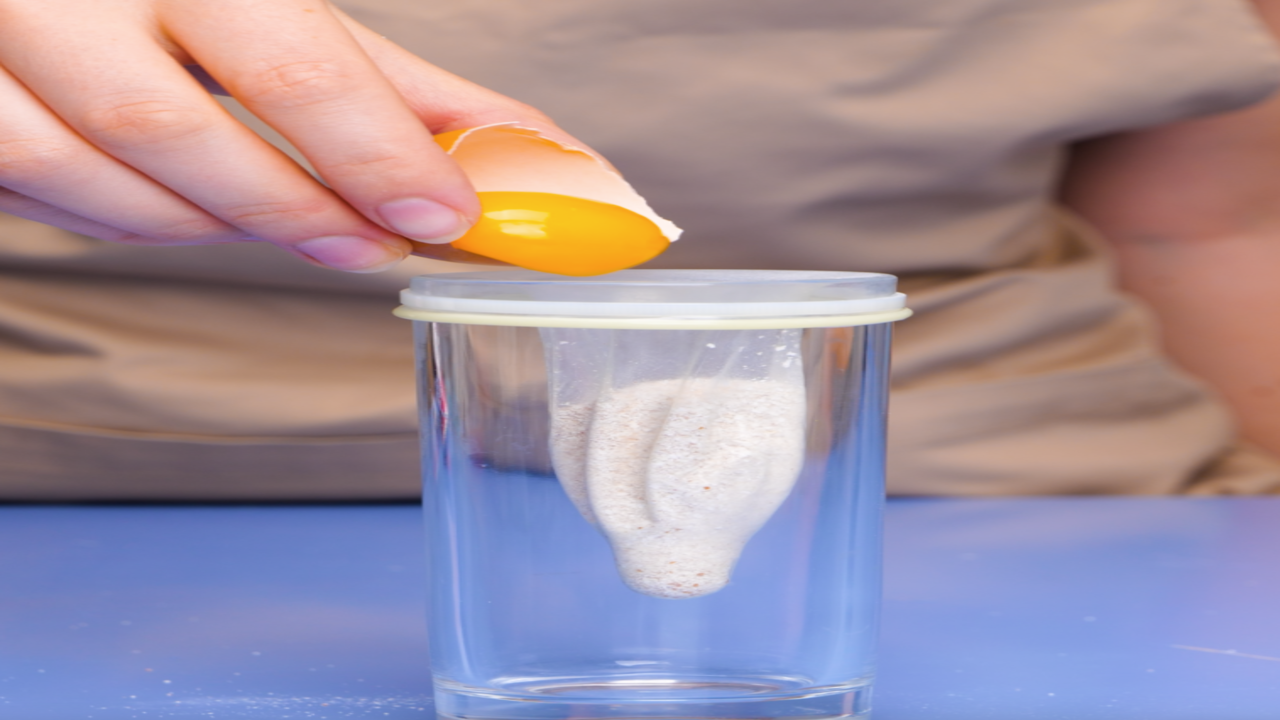 Cool Egg Hacks You Didn T Know About