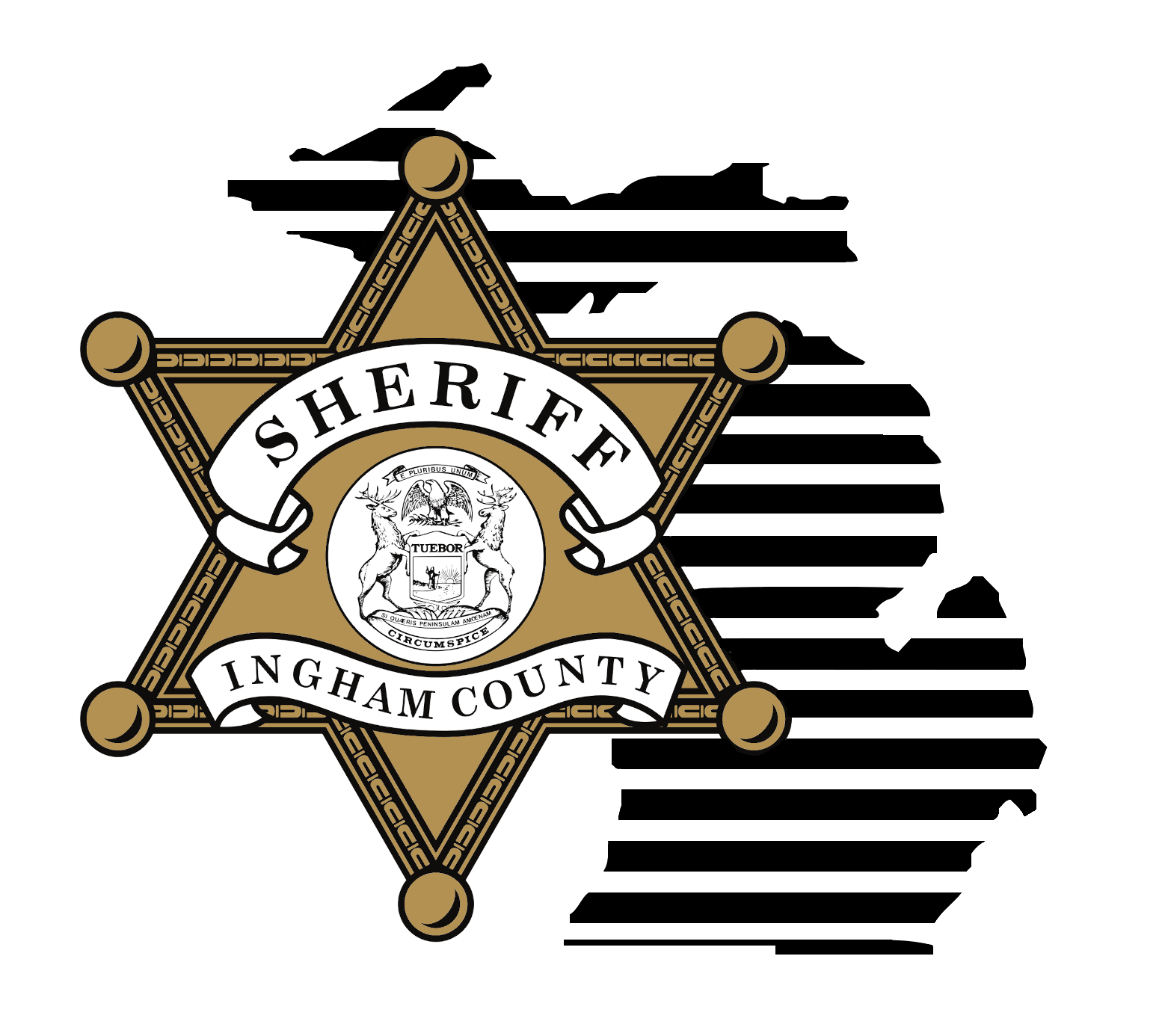 Ingham County Sheriff's Office Assault suspect arrested after sliding