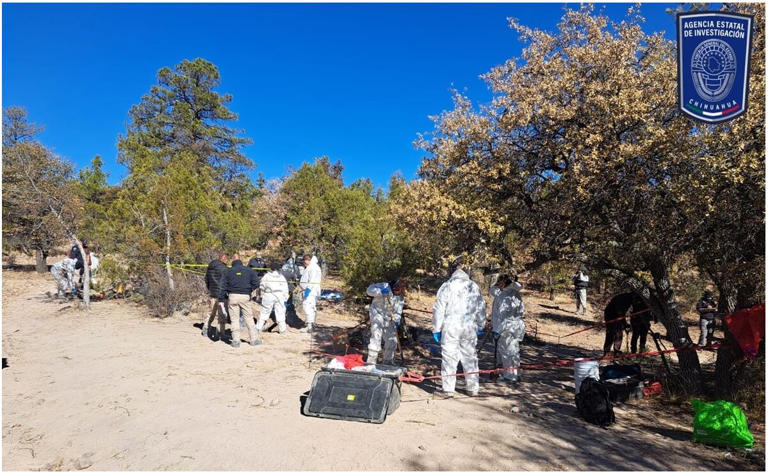 Localizan 10 cuerpos humanos en fosas clandestinas en Casas Grandes,  Chihuahua; inician trabajos de identificación