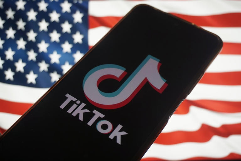  Elon Musk gets the green light from Trump to take over TikTok