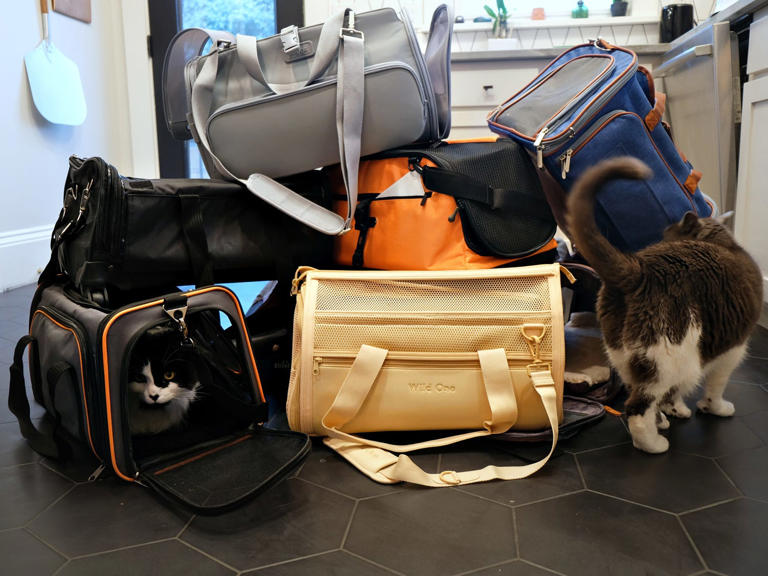 Curated visual reference: Gallery Detail: The Best Airline Approved Cat Carriers