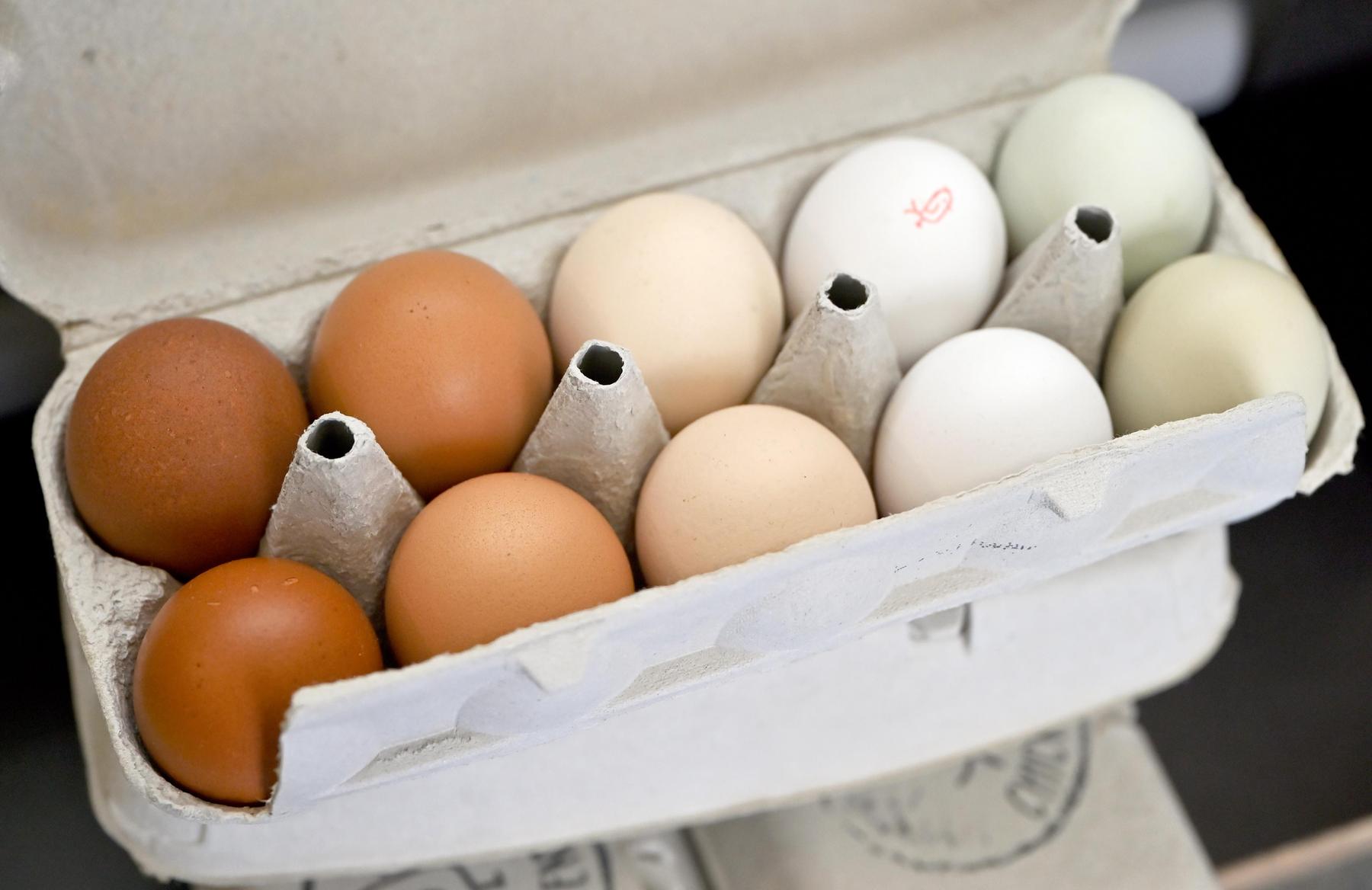  Foto zu Hohe Eierpreise in den USA: Spott über Donald Trump 