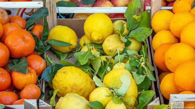 يوفر ماء الليمون فيتامين سي، وعلى الرغم من أنه ليس كافيا لتغطية احتياجاتك اليومية، إلا أن 20 بالمائة من الكمية المنصوح بها مفيدة.