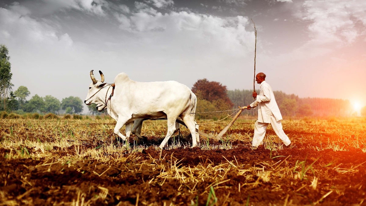 Budget 2025 Why is agriculture sector pushing for techdriven framing