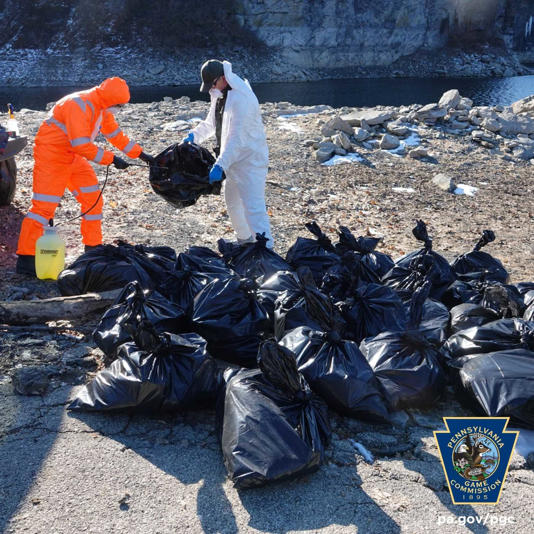 Trained personnel safely disposing of carcasses under biosecurity protocols to curb the spread of avian flu.