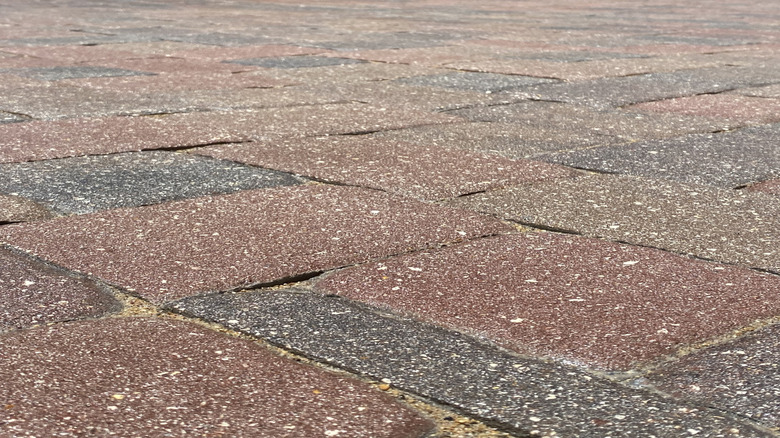 Customize Your Backyard With Stylish Exposed Aggregate Pavers