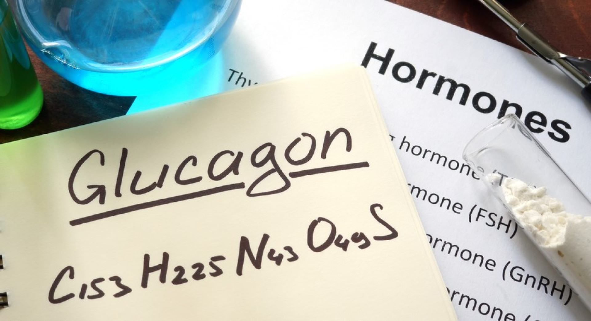 AA1xNjTk.img?w=800&h=435&q=60&m=2&f=jpg