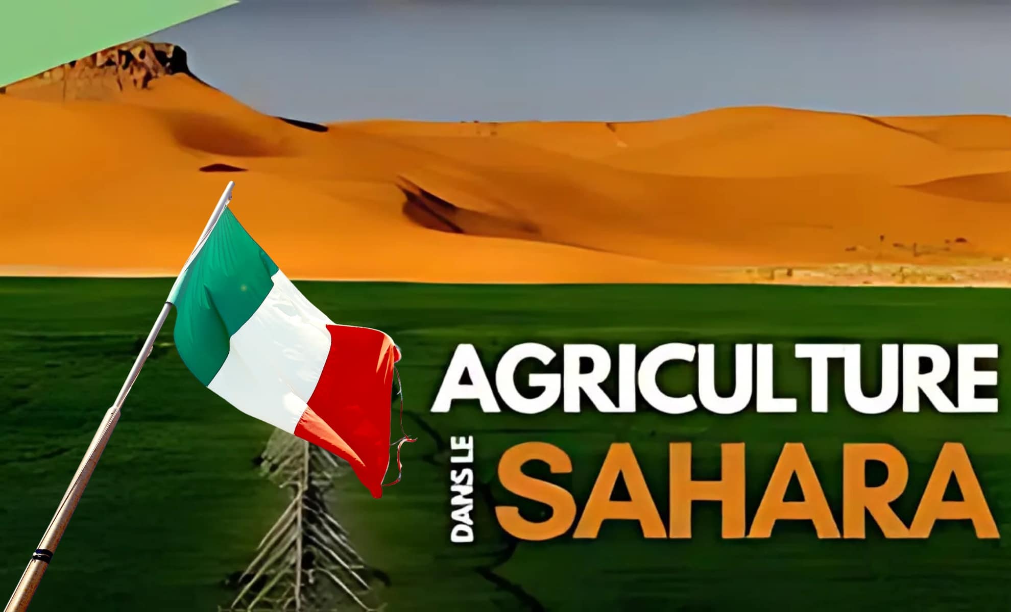 Algérie : le mégaprojet de l'Italien Bonifiche Ferraresi franchit une ...