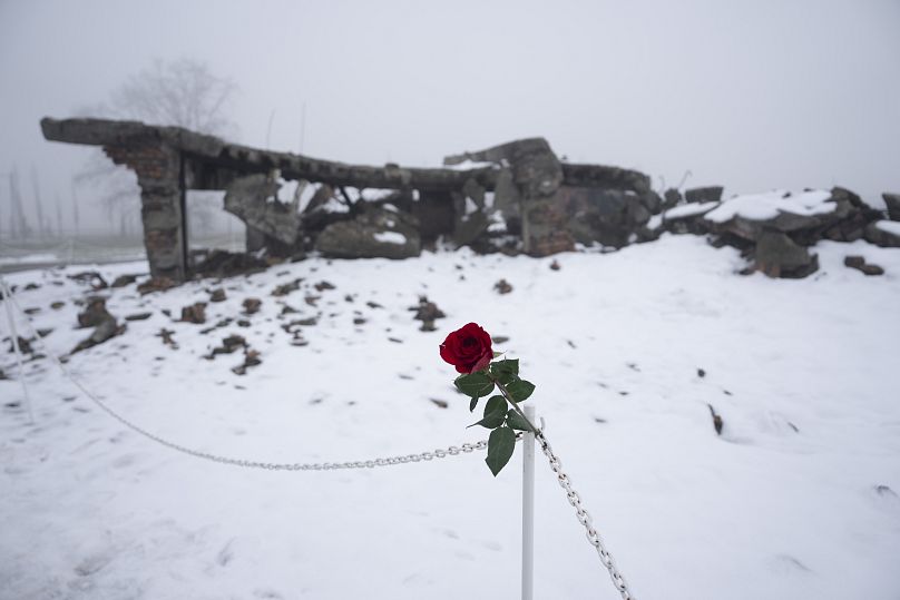 Una rosa lasciata da un visitatore è tenuta su una maglia di catena accanto alle rovine di una camera a gas e di un crematorio ad Auschwitz, 23 gennaio 2025 Oded Balilty/Copyright 2025 The AP. All rights reserved